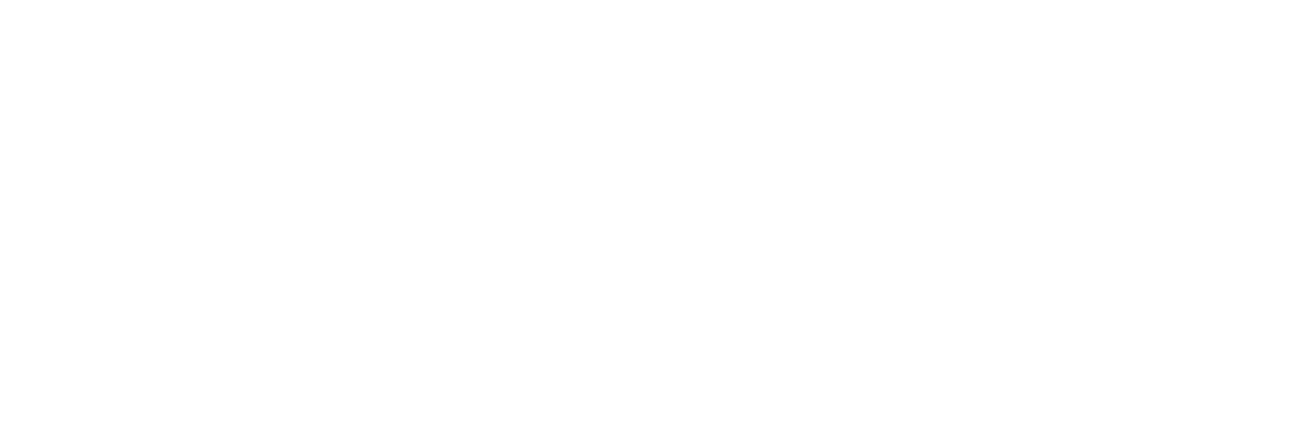 NanoFest